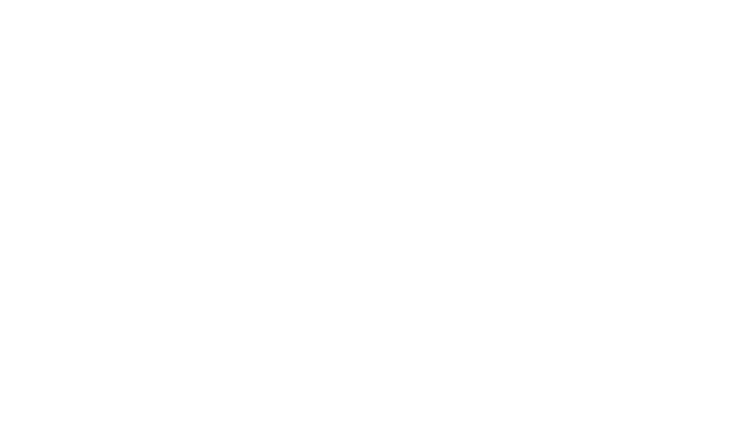 IAN Logo